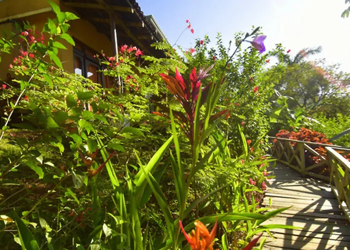 Punta India 4* Ostional Wildlife Refuge
